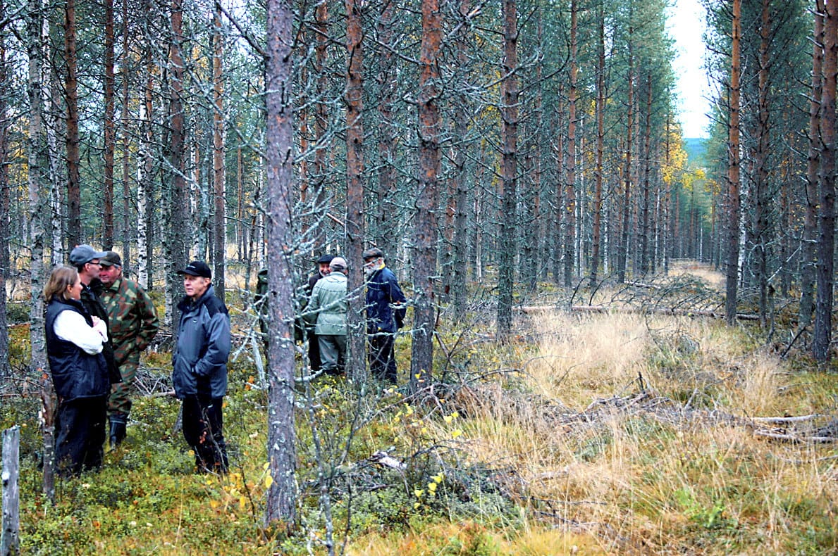 Osaran aukeat olivat hinta vapaudesta, kirjoittaa muistelee. Tässä kuvassa retkeillään alueella vuonna 2018.