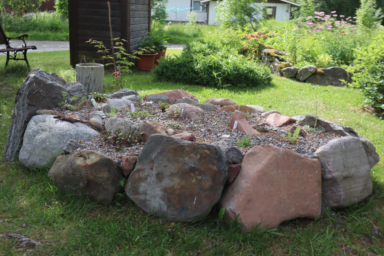 Yhtenä uutena kokeiluna Häggblomien pihalla on oma penkki alppikasveille.