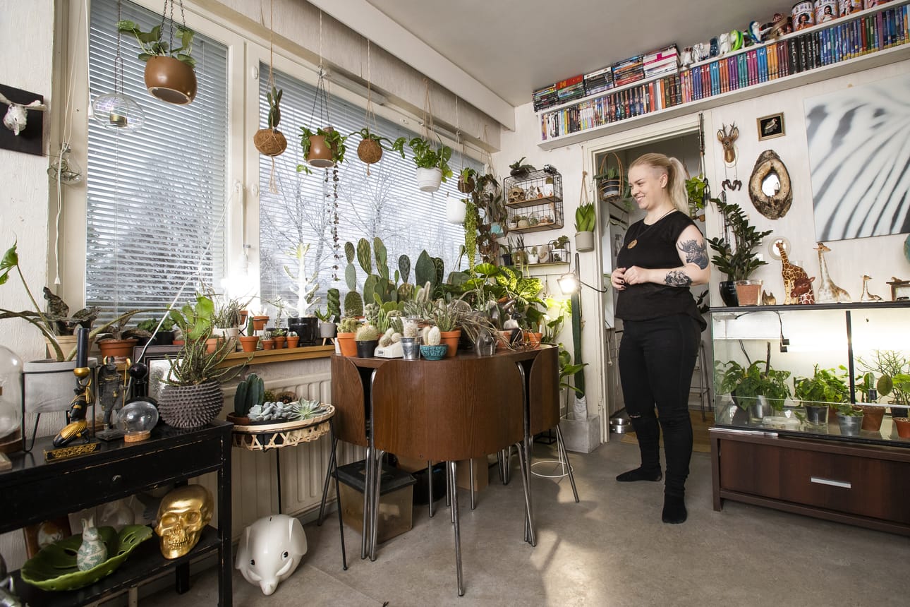 Emilia Laitinen on onnellinen kasviensa keskellä. – On palkitsevaa kun saa jonkin vaikean kasvin kasvamaan. Esimerkiksi alocasiat ovat oikuttelevia kasvatettavia, mutta olen saanut ne kestämään, Emilia sanoo.