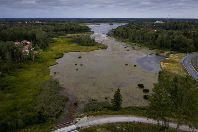 Pukinjärvi on rehevöitynyt lähes umpeen Vetokannaksen suunnasta. Arkistokuva.