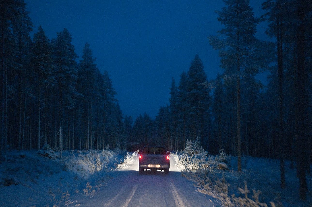 Metsäteiden kuntoa voi seurata ja siitä ilmoittaa nyt mobiilisovelluksella.