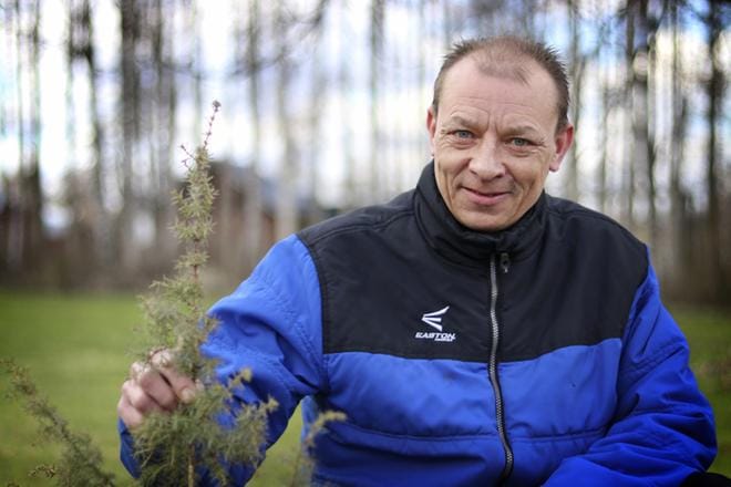 Vimpeliläinen sääprofeetta Marko Lehto tekee ennustuksia muun muassa leikatusta ja kuoritusta katajan oksasta. KUVA: JOHANNA KATAJA