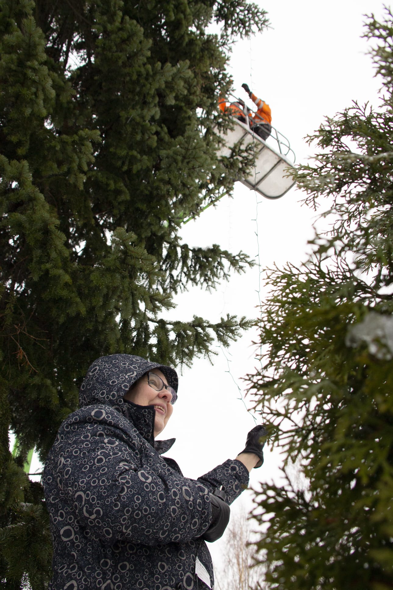 Piippolan kirkon kupeella seisova parikymmenmetrinen kuusi sai viime viikolla yllensä valonauhan. Asennusta avustamassa ollut Tuulikki Tuovinen iloitsee siitä, että Shellin baariparlamentissa noussut idea voitiin toteuttaa.