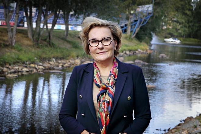 Anne Niemi, Etelä-Pohjanmaan Yrittäjien puheenjohtaja