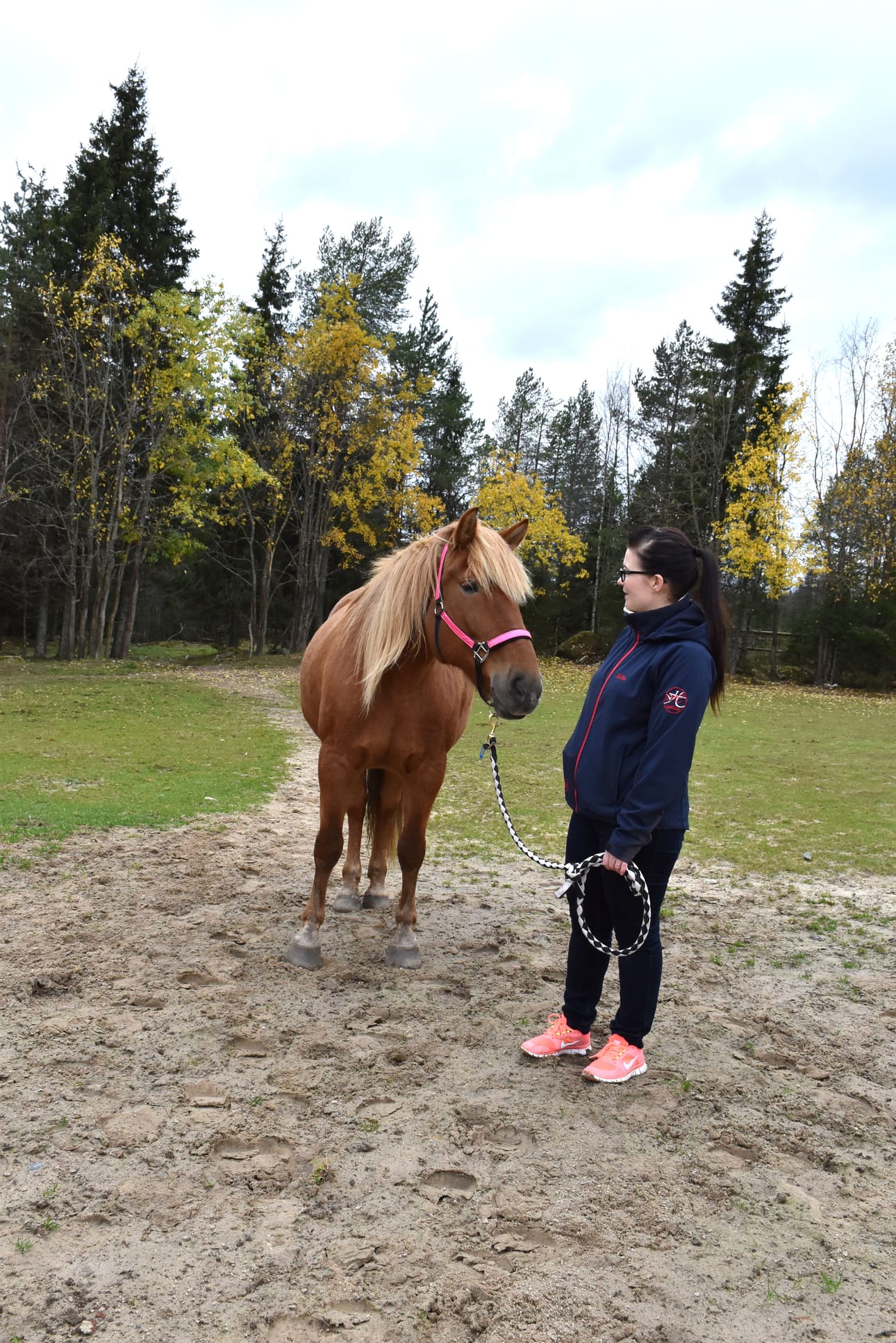 Hevoset ovat aina olleet minulle tärkeä harrastus ja oikeastaan myös eräänlainen terapiamuoto, valvontaeläinlääkäri Minna Haataja sanoo.