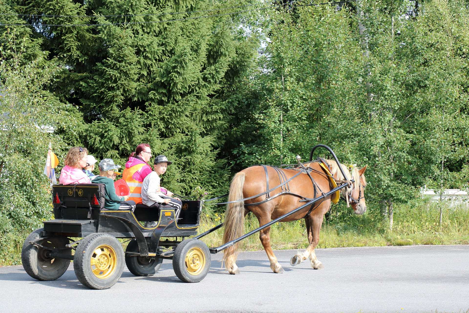 Hevosajelu oli niin aikuisten kuin lastenkin mieleen.