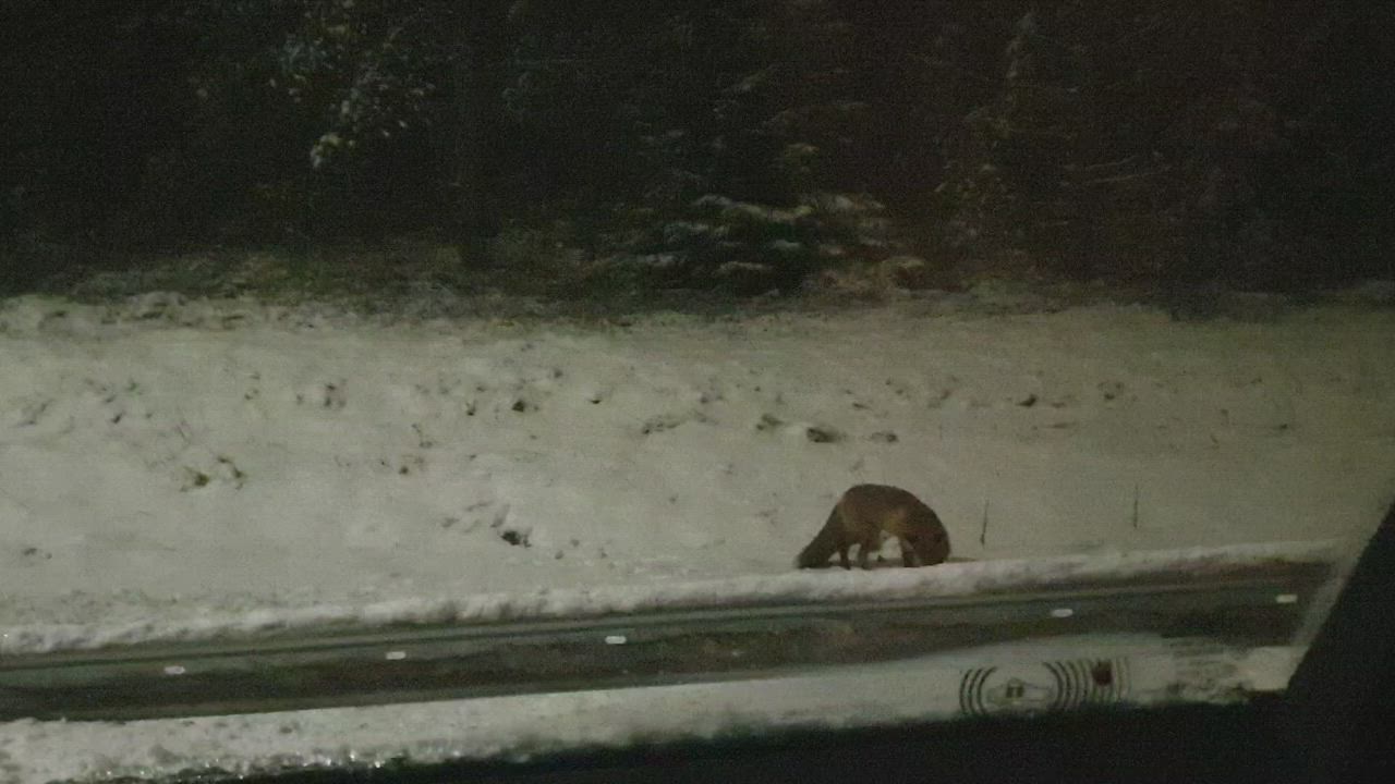 Kettu Repolainen iltapalalla Pateniemessä
