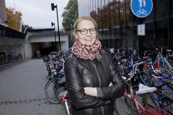 Tutkija Päivi Honkatukia. Kuva: Janne Ruotsalainen