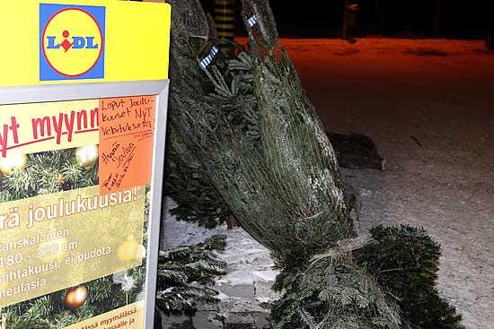 Hiirosen Lidl Oulussa jakoi joulun alla ilmaisia joulukuusia.