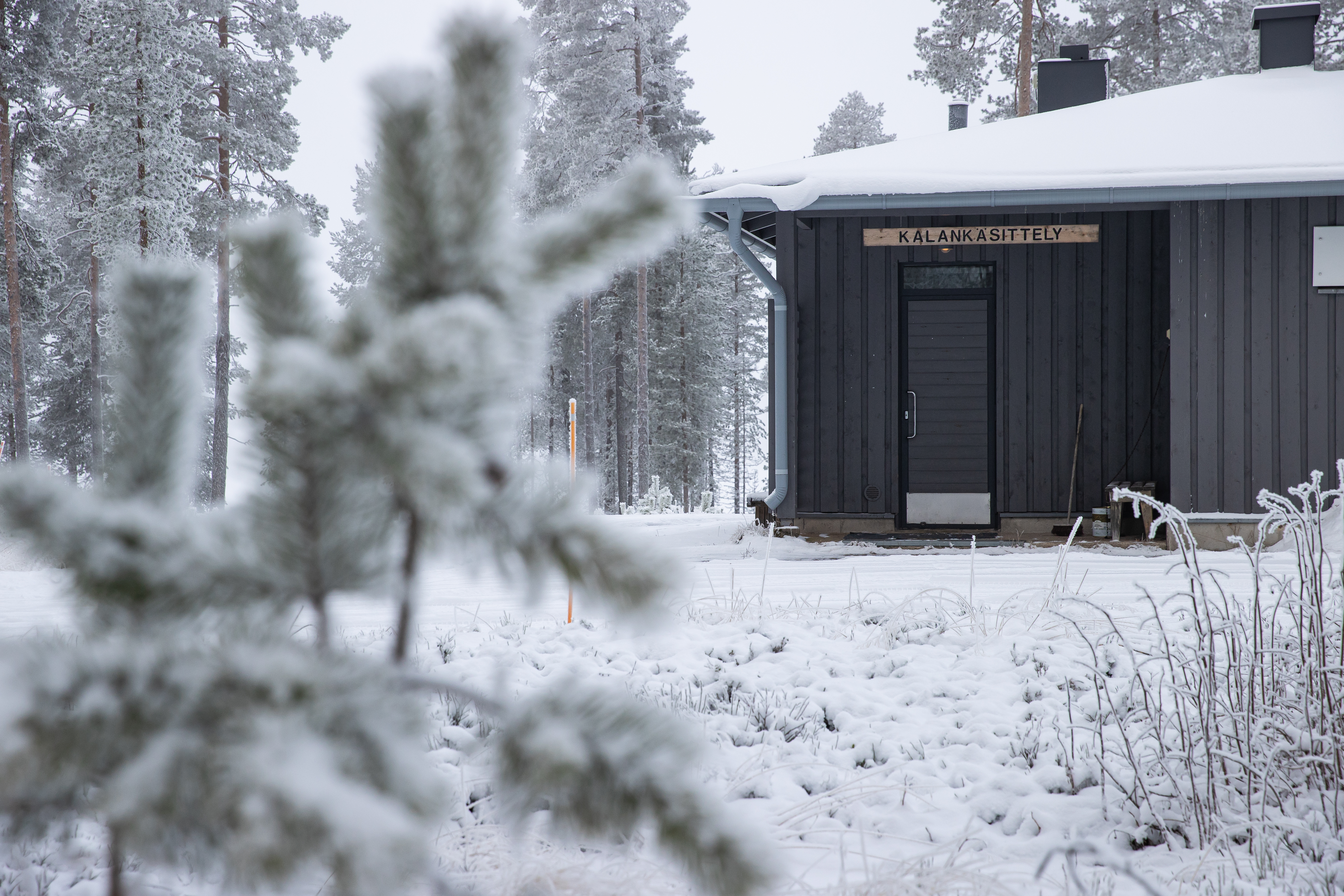 Retkeilykeskuksen alueella on monenlaisia tiloja, kuten tämä kalankäsittelypaikka.