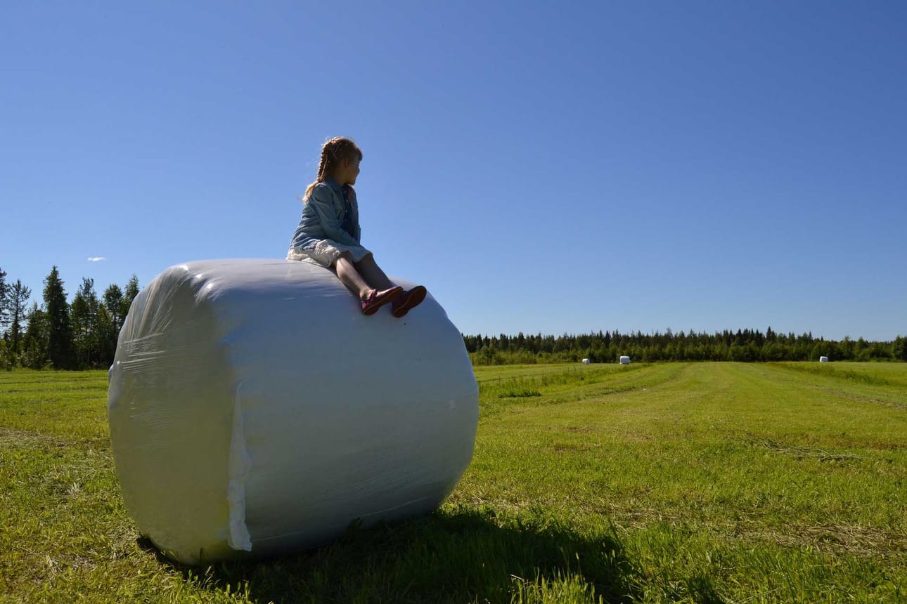 Kyllä maalla on mukavaa! Miia Kvist kuvasi tyttärensä kotona Ylitornion Mellaskoskella. Oli ilo seurata ensimmäisen sadon valmistumista, kun kotipellolle tipahteli paaluja rutkaasti, Kvist kertoo.