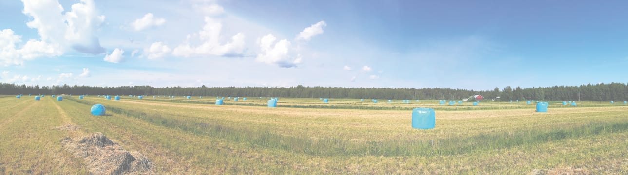 Viime vuotiset pinkit hyvispaalit saivat seurakseen tänä kesänä sinisiä paaleja Tupoksen Saarelantiellä.
