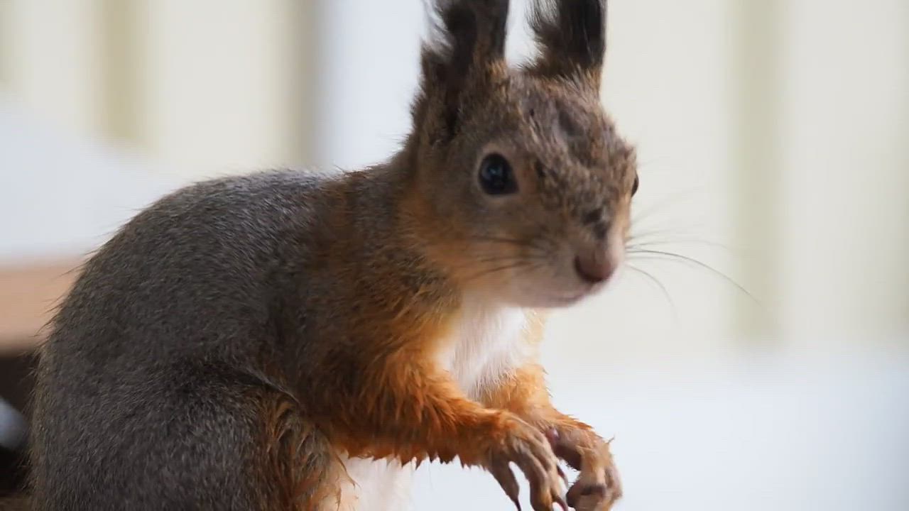 Ruokailuvälineet puhtaaksi