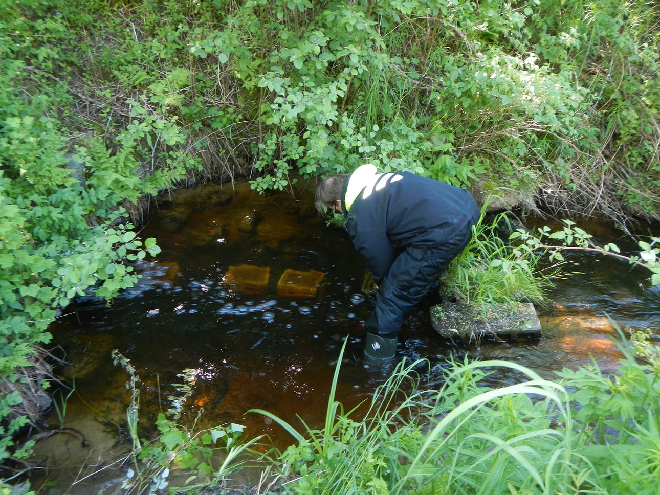Palautetut raakut on sijoitettu toistaiseksi joen pohjalle soralaatikoihin.