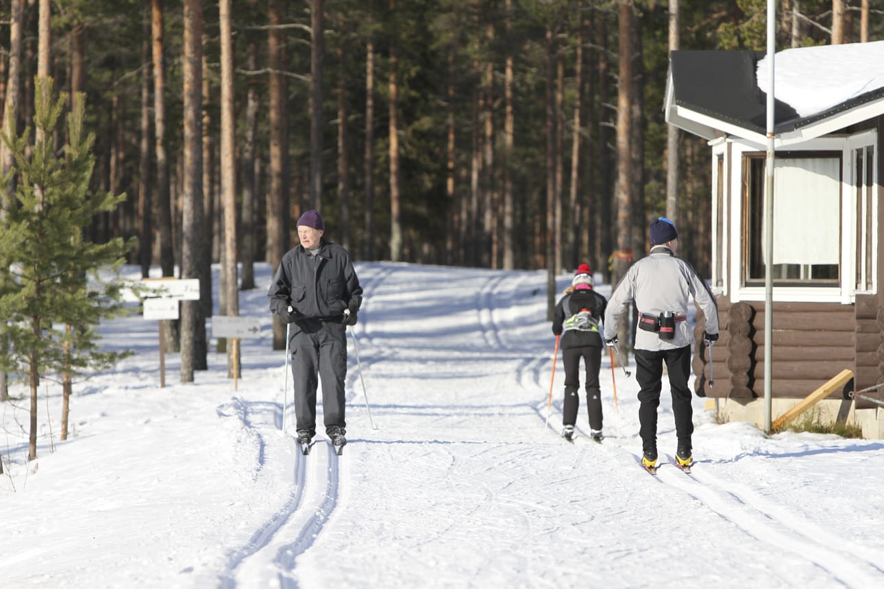 Sinkkihiihto järjestetään jälleen ensi viikon sunnuntaina. Lumitilanne vaikuttaisi olevan varsin hyvä, joten järjestäjät odottavat runsaasti osallistujia.
