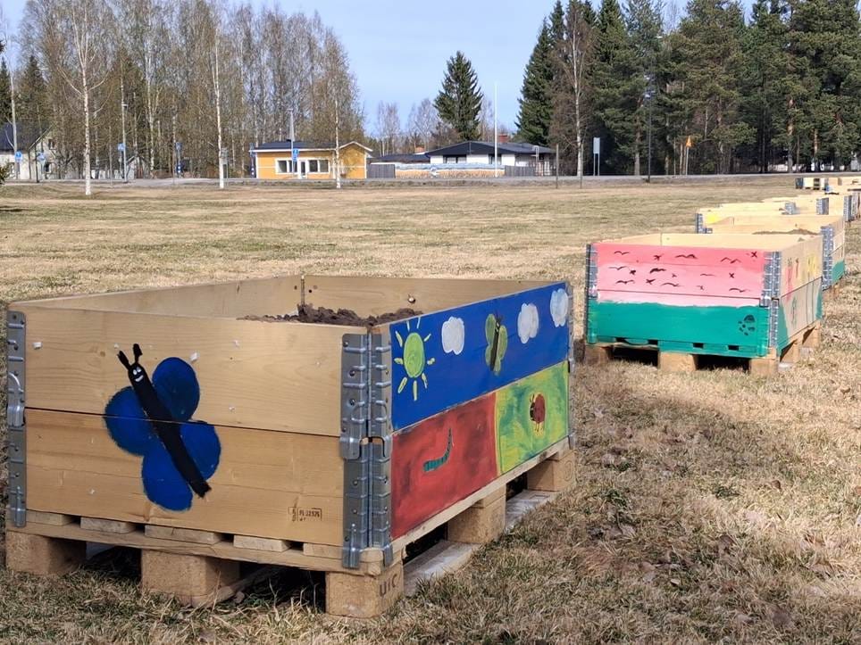 Tyrnävällä Kirkkomännikön koulun 2.–3. luokkalaiset maalasivat perunanistutuslaatikoita yhdessä huoltajiensa kanssa osana Perunanistutuskarnevaali 2026 -tapahtumaa. Tapahtuman tarkoituksena on lisätä tutkitun perunatiedon levittämistä kuluttajien ja alan ammattilaisten keskuudessa. Perunat istutetaan lauantaina 23. toukokuuta Tyrnävällä. Tempaus on osa Perunagalleria 2026 -ohjelmaa.