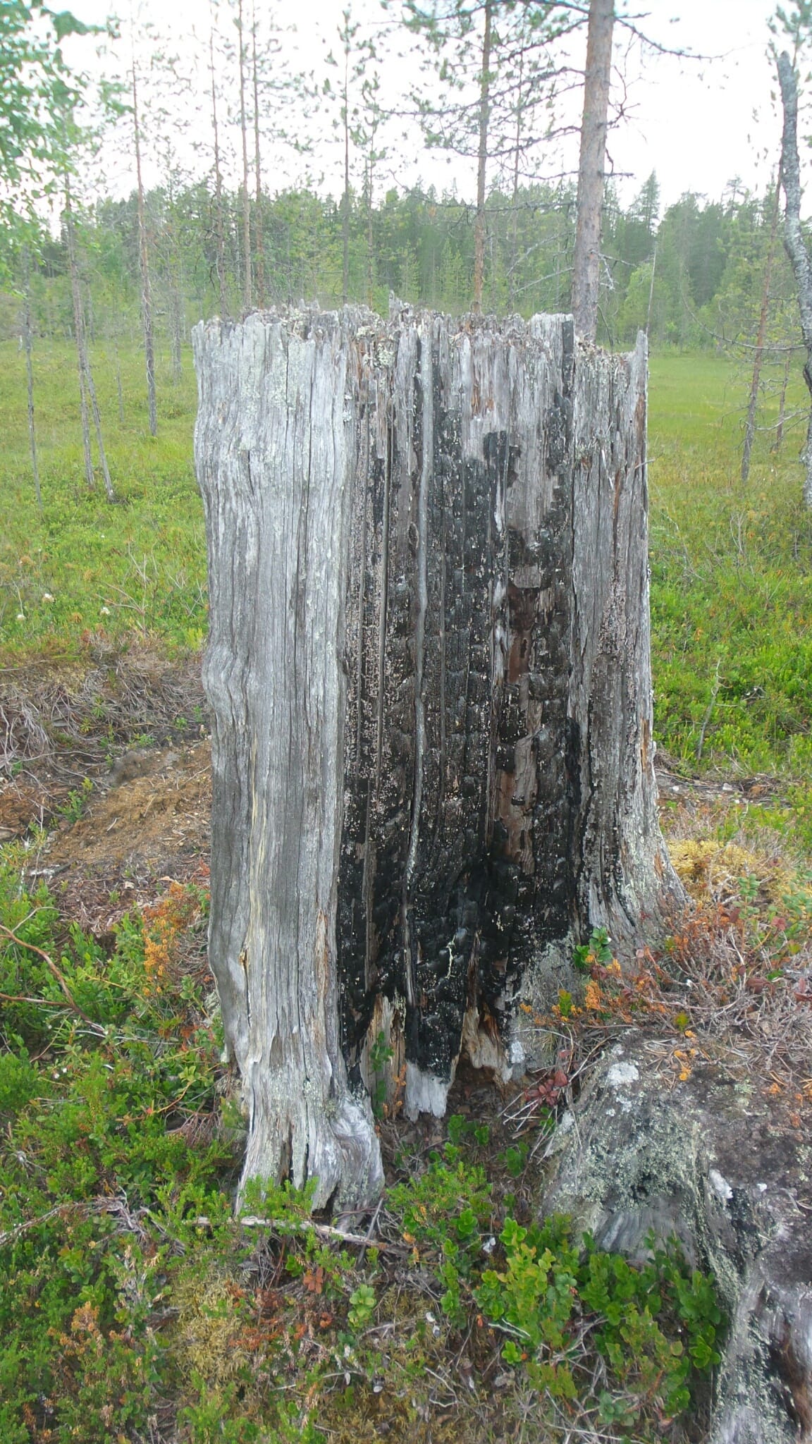 Se poromies, joka riipaisi ensimmäisenä tulet Kirintökankaalla.