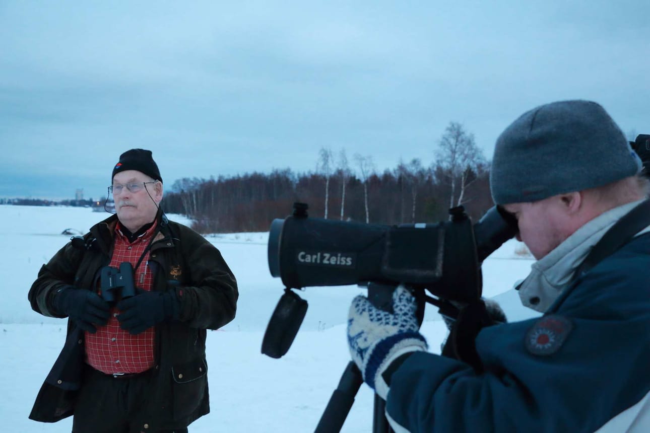 Lintuharrastajat Jaakko Koistinen ja Jukka Hauru jahtaavat tammipinnoja aktiivisesti. Tällä kertaa tuli huti, sillä merilokkia ei Maivaperältä löytynyt.