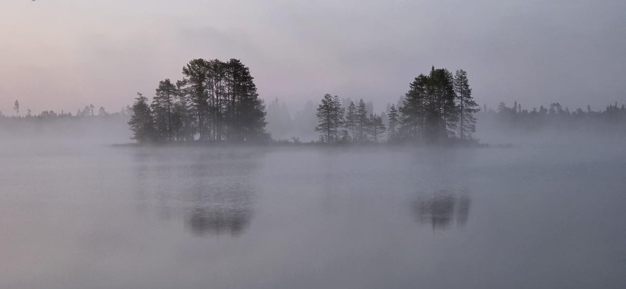Usva nousee Jokijärvellä. Hautasaari maanantaina 21.07.2026.
