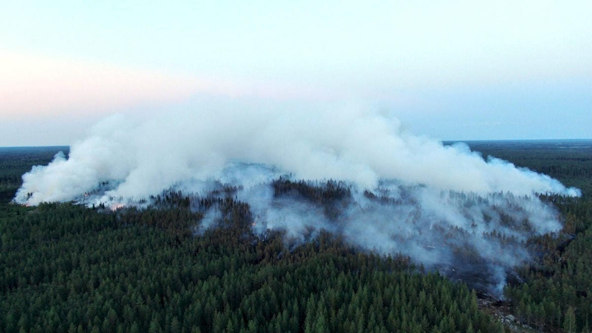 Viime kesänä Kalajoella riehunut metsäpalo sai alkunsa savukkeesta. LEHTIKUVA / GLENN HÄGG