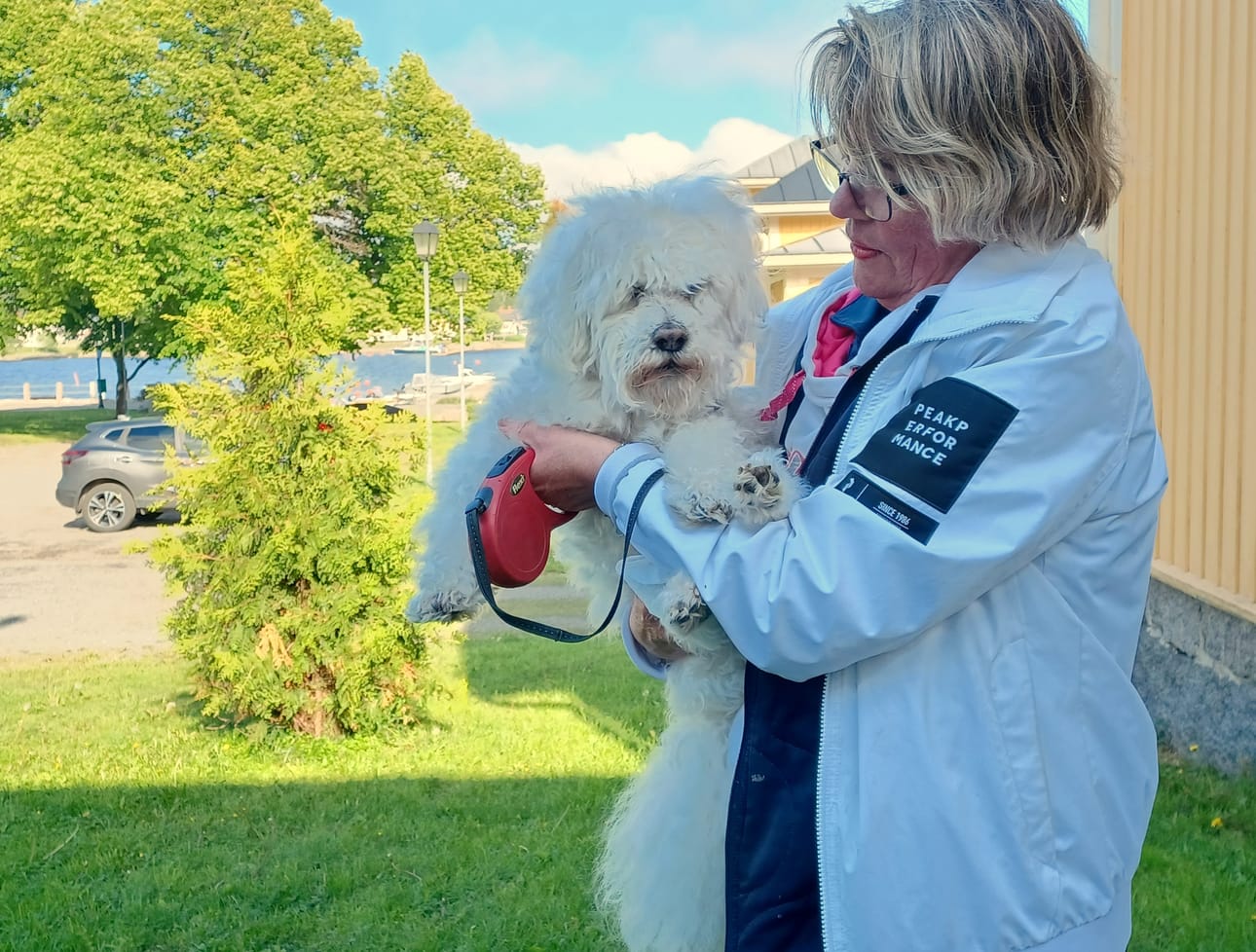 Yvonne Lassfolkh ja Milou-koira Lassfolkhin kotitalon kulmauksessa Kristiinan Kantakaupungissa. Yvonnen kuuluu havanais-rodun ryhmään Tukholmassa. Miloun ikä herättää hämmästystä ryhmäläisissä. - Ne oikein huokailevat, kun kuulevat tämän iän. KUVA: LOTTA KALLIO
