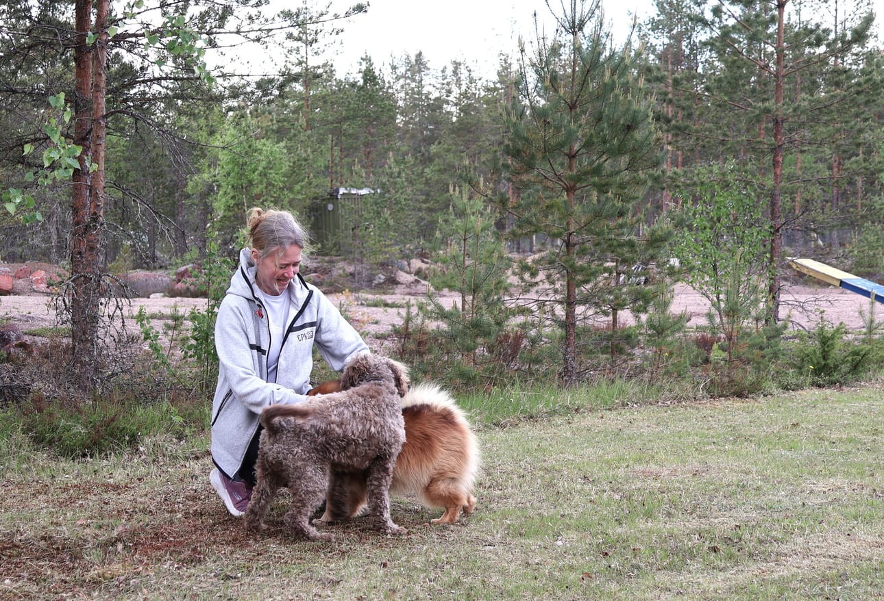 Pia Jaakkola silittää koirakavereita Feroa ja Elmaa.