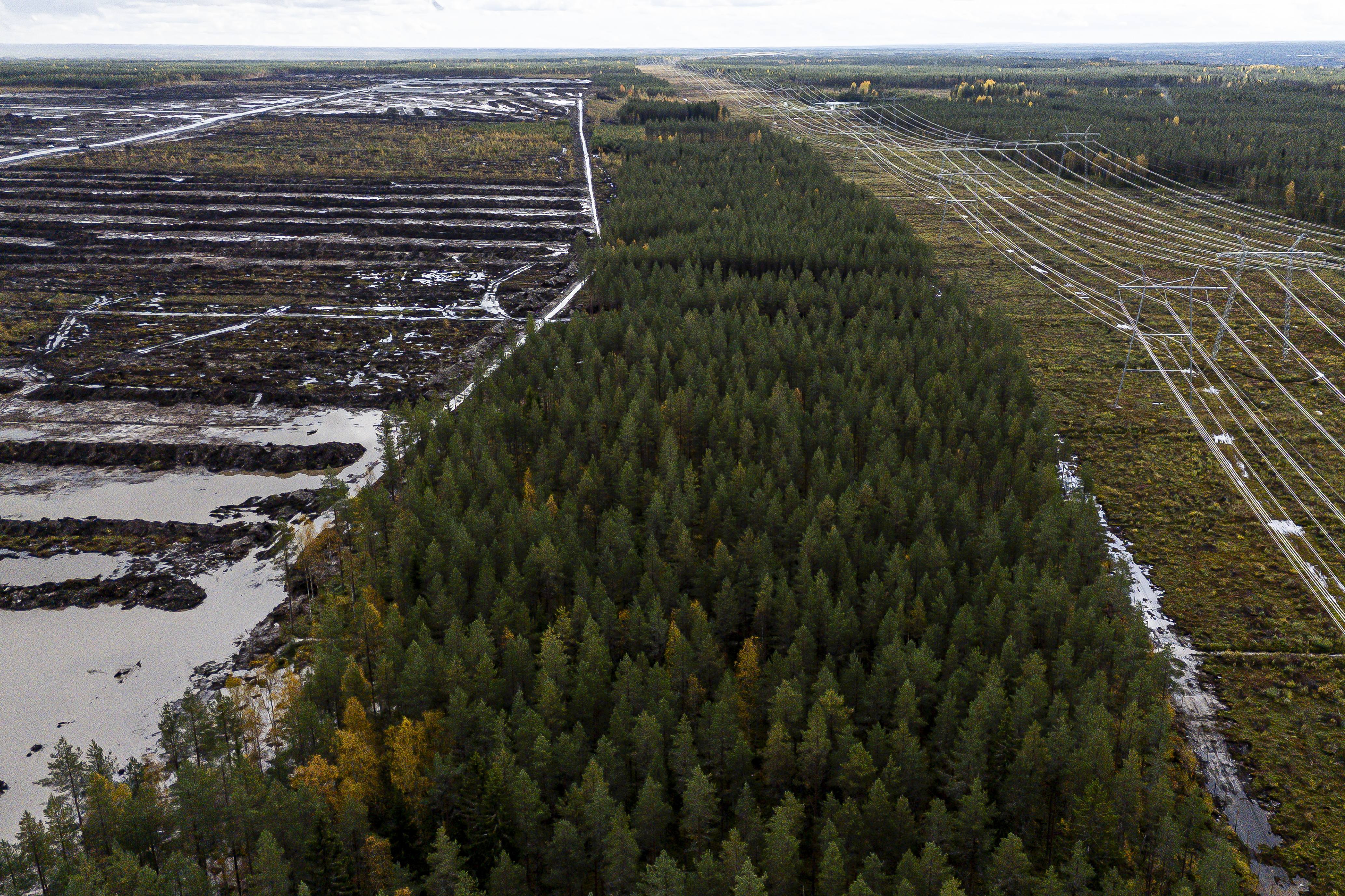 Googlen vaikutukset ulottuvat laajalle – Muhos, Vaala ja Kajaani nousevat talouden vetureiksi