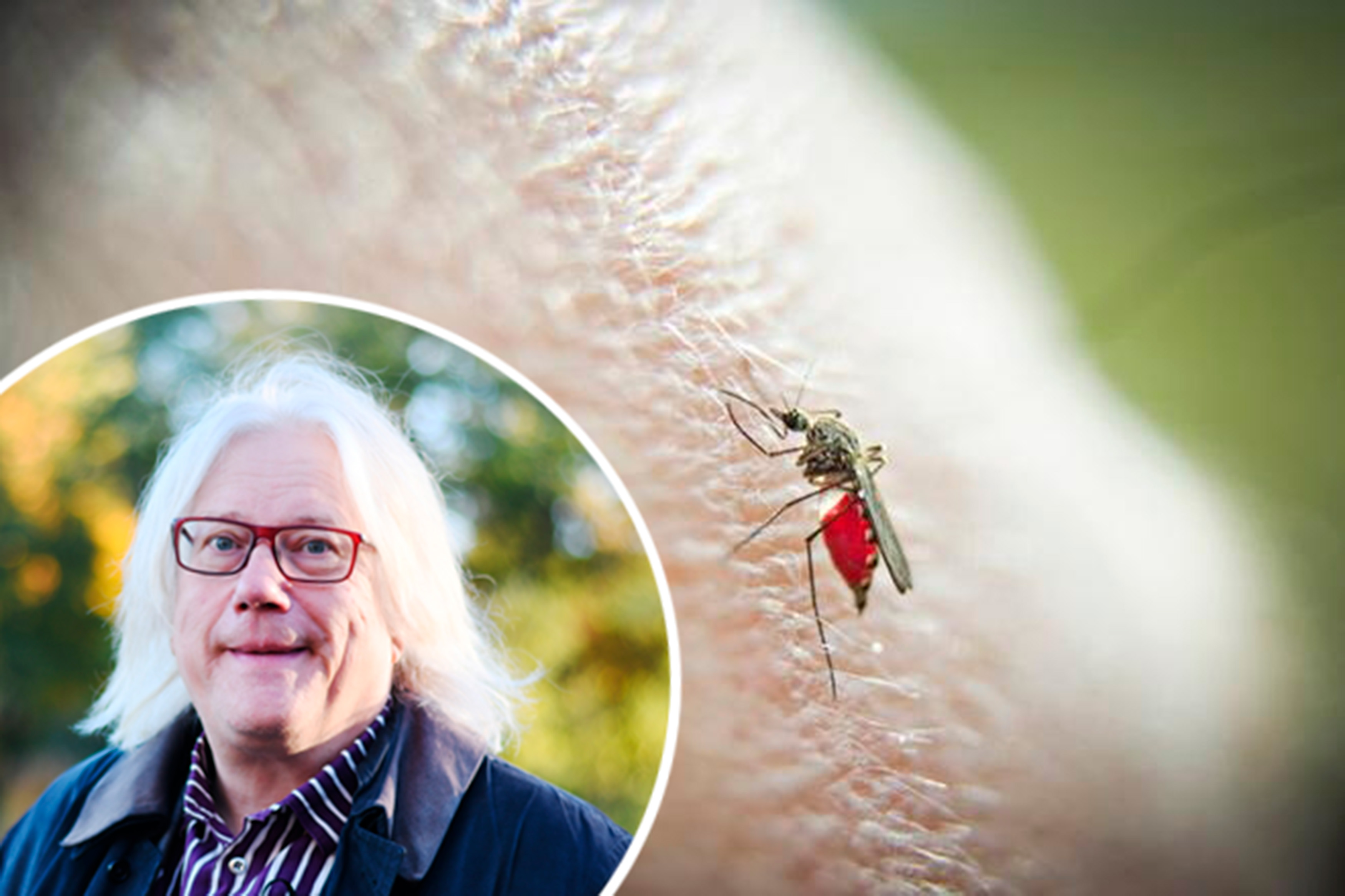 Hyönteismyrkkyjen viihdekäyttö huolestuttaa 