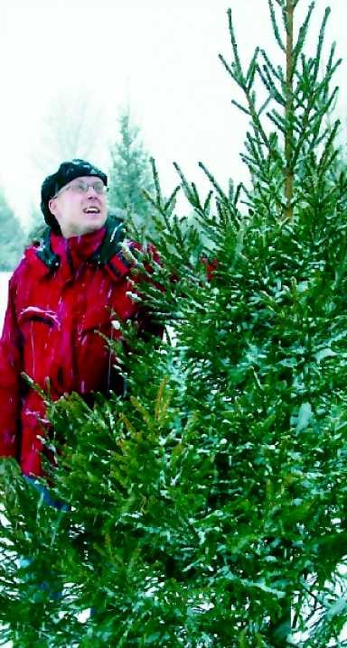 Tuuhea ja perinteinen kuusi sen olla pitää. Meillä on huonekorkeus 2,80 metriä, joten tällainen isompikin kuusi mahtuu. Petteri Pasanen, Kempele