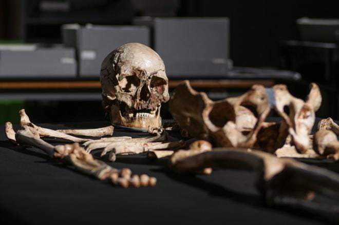 Kiinnostavan ohjelman punainen lanka on mahdollisimman aitojen kasvojen luominen Cheddarin miehen luiden ja dna:n perusteella. Jotta löytämisen ilo säilyisi ohjelmaa katsoessa, on tässä lähtökohta, ei lopputulos.