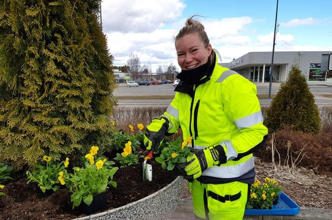 Kaupungin puutarhuri Niina Jussinmäki on istuttanut orvokkeja muun muassa Palotorille. KUVA: ANNE ORAVA
