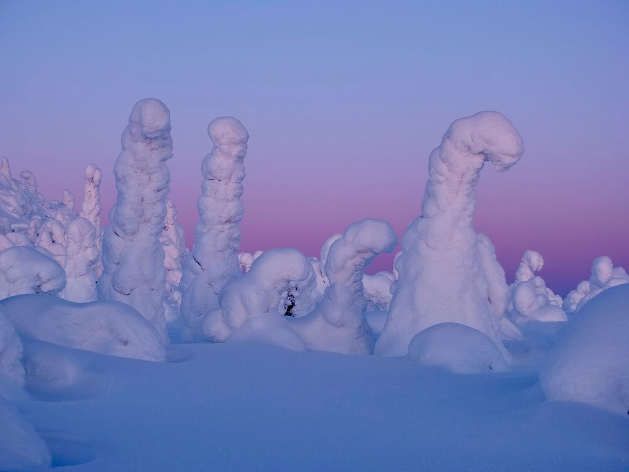 Värimaailmaa Syötteen huipulta pakkasen paukkuessa