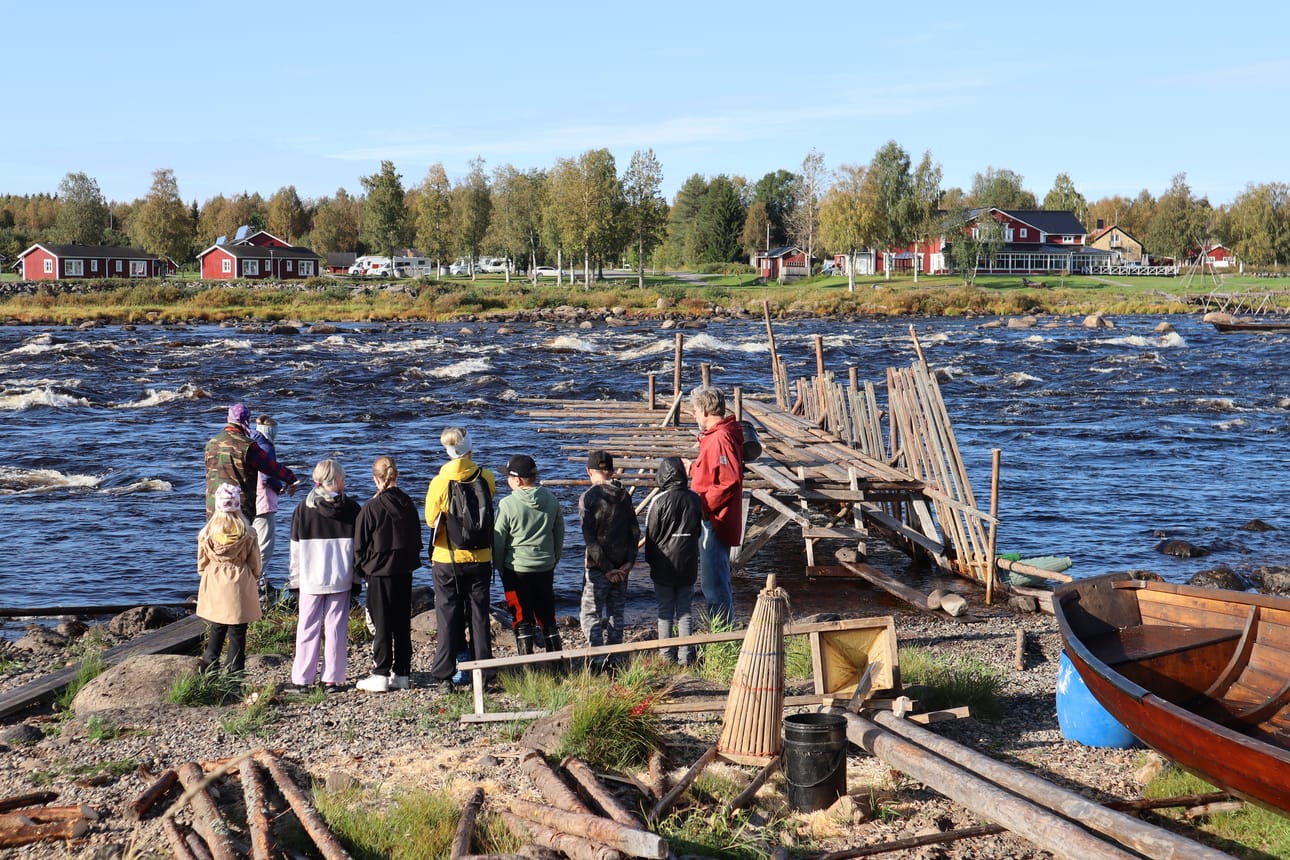 Tässä opiskellaan lippoamisen taitoa Kukkolankoskella paikallisten opastuksella.