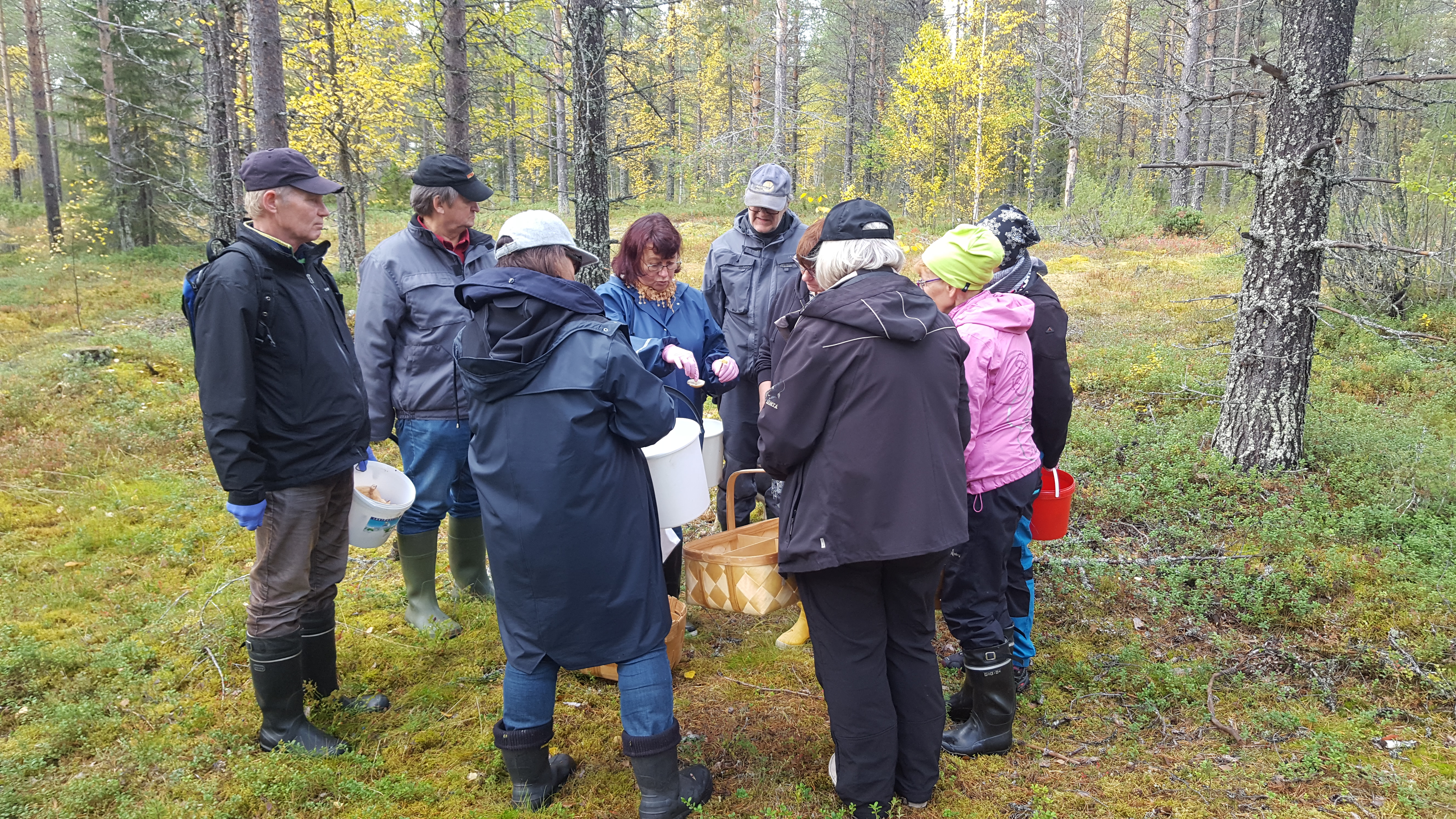 Kurssilaiset kouluttaja Toini Kumpulaisen ympärillä