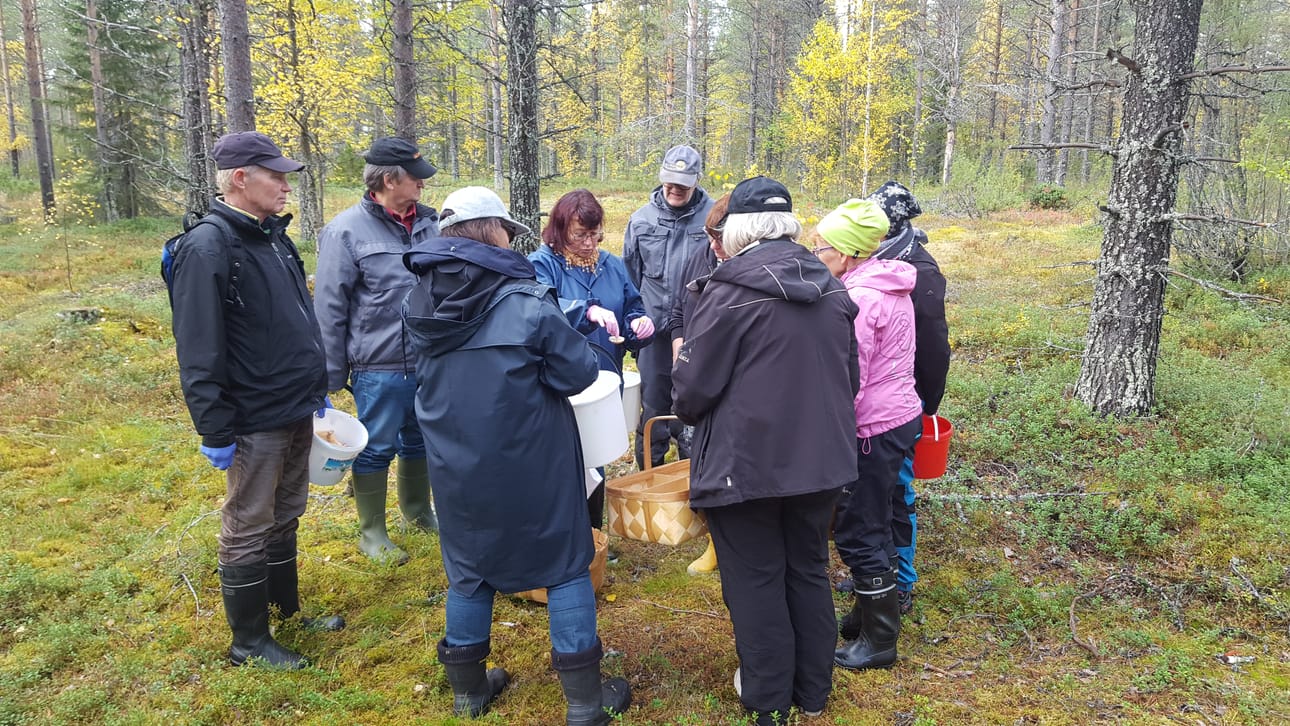 Kurssilaiset kouluttaja Toini Kumpulaisen ympärillä