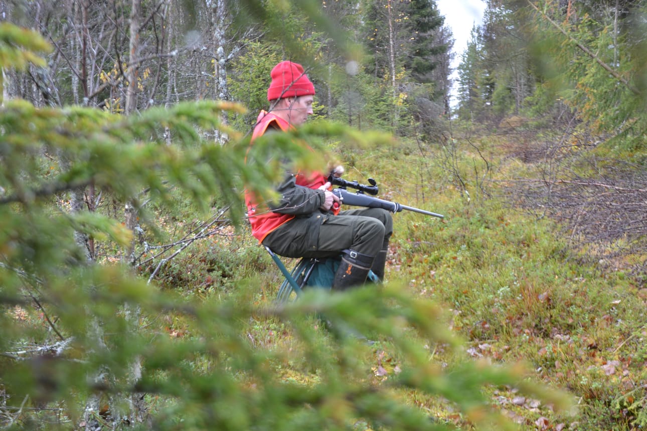 Ensio Palosaari taitaa myös naakimisen, eli hirvenmetsästyksen äänellä houkuttelemalla. Avauspäivä meni passissa, mutta ei tullut hirveä.