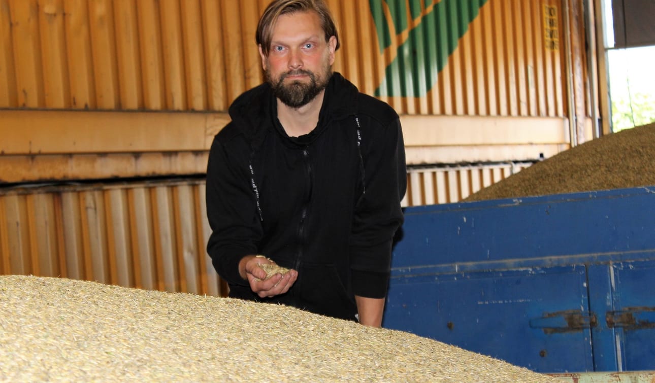 Karijoen ylikyläläinen maanviljelijä Jukka Niinisalo tutkii kauran laatua.