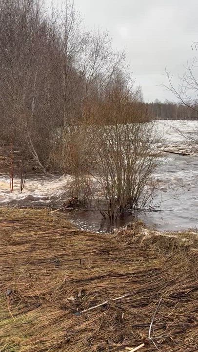 Kevät tekee tuloaan.
