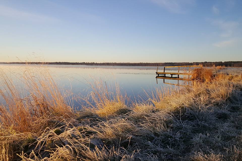 Tyyntä lokakuun maisemaa. Aamut käyvät kylmemmiksi.