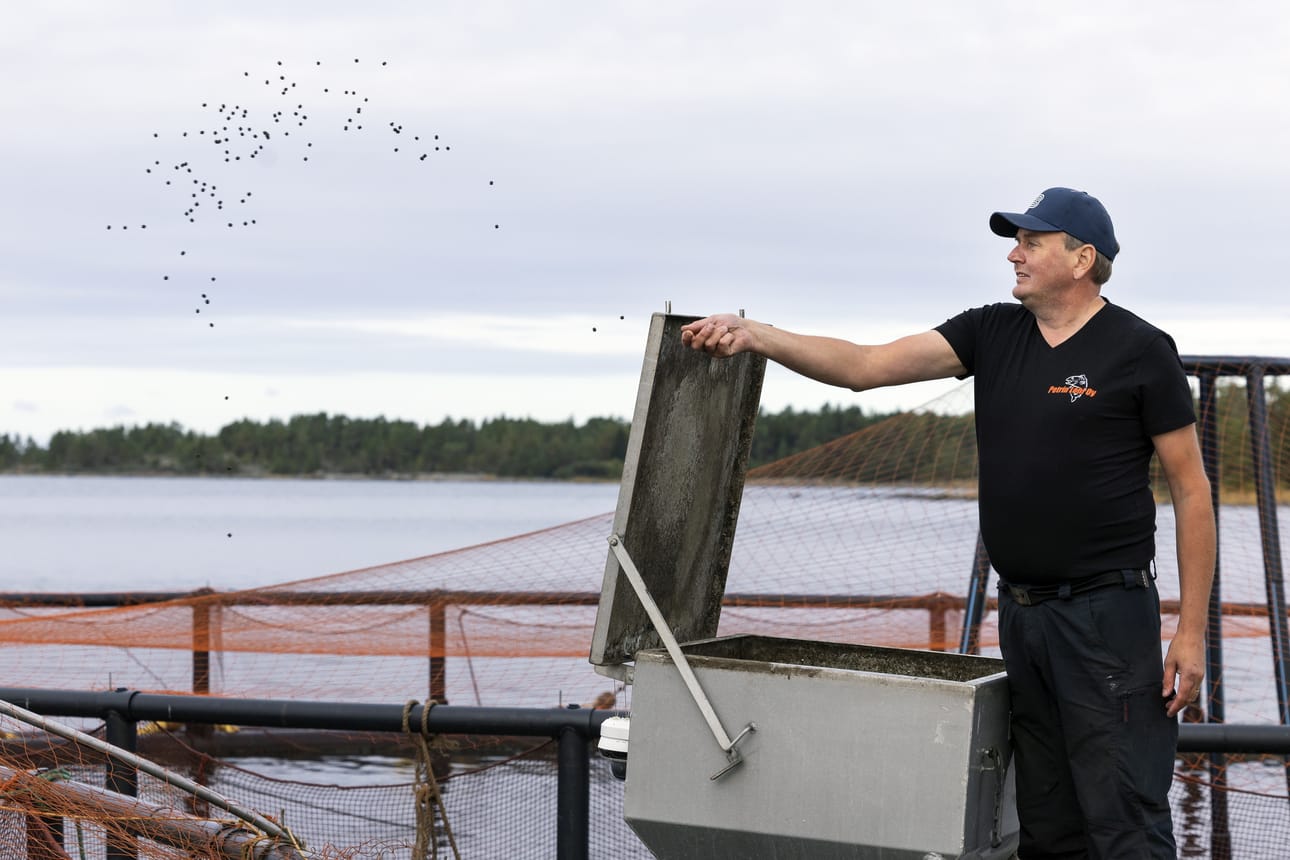 Petri Patorannan kala-altailla on ruoka-automaatit, joita hän voi ohjata kännykkänsä kautta. Kännykän ruudulta hän myös näkee, jos kirjolohet tarvitsevat lisää ravintoa.