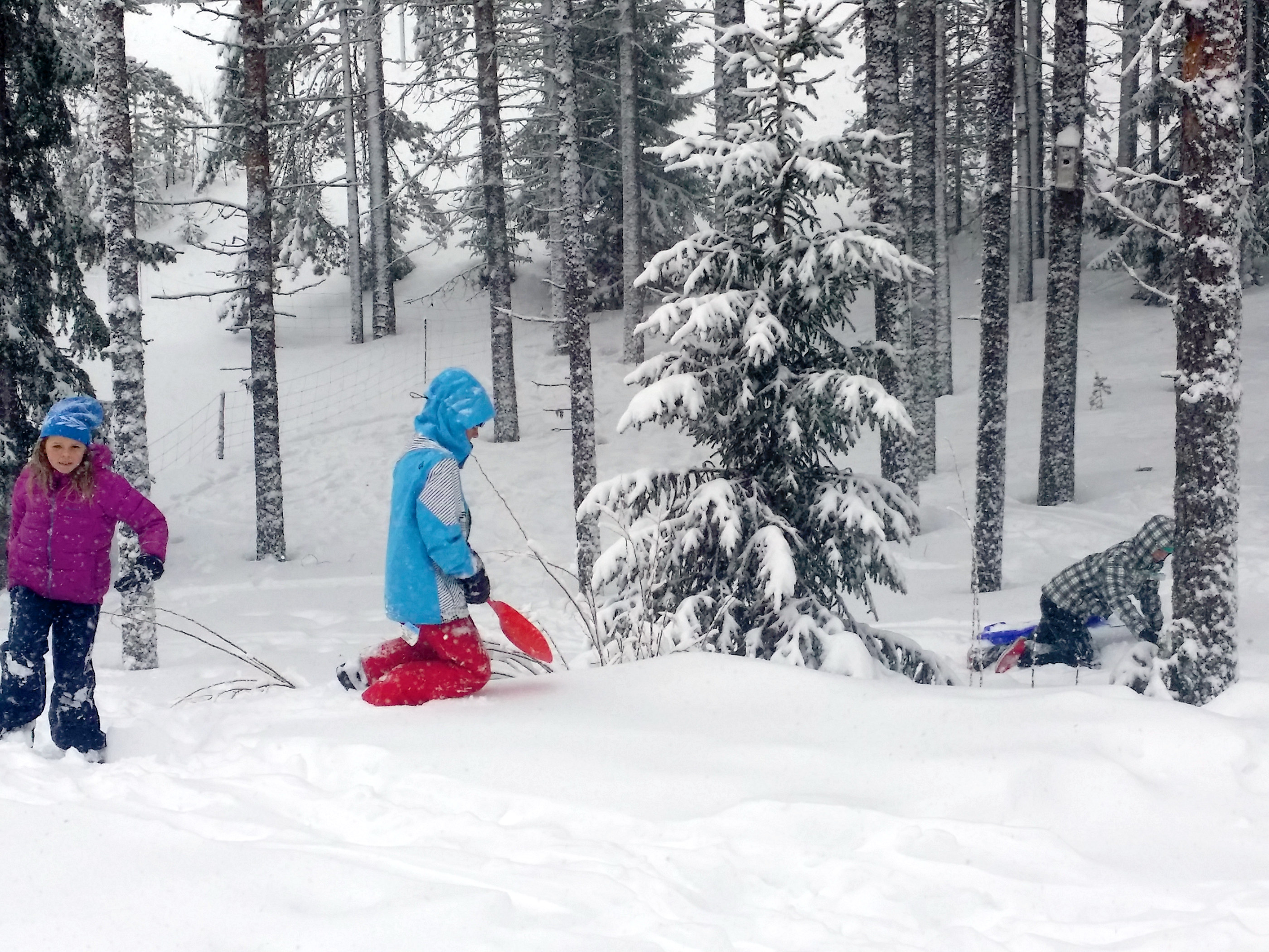 Pääsiäisenä 16 vuotta täyttänyt Flora Secker kävi Taivalkoskella hiihtämässä uusiseelantilaisen isänsä Adrianin kanssa.