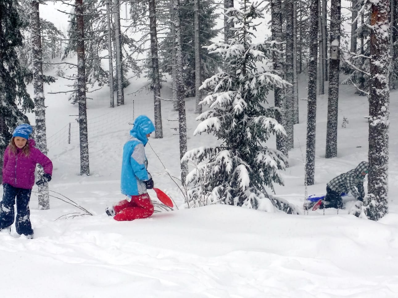 Pääsiäisenä 16 vuotta täyttänyt Flora Secker kävi Taivalkoskella hiihtämässä uusiseelantilaisen isänsä Adrianin kanssa.