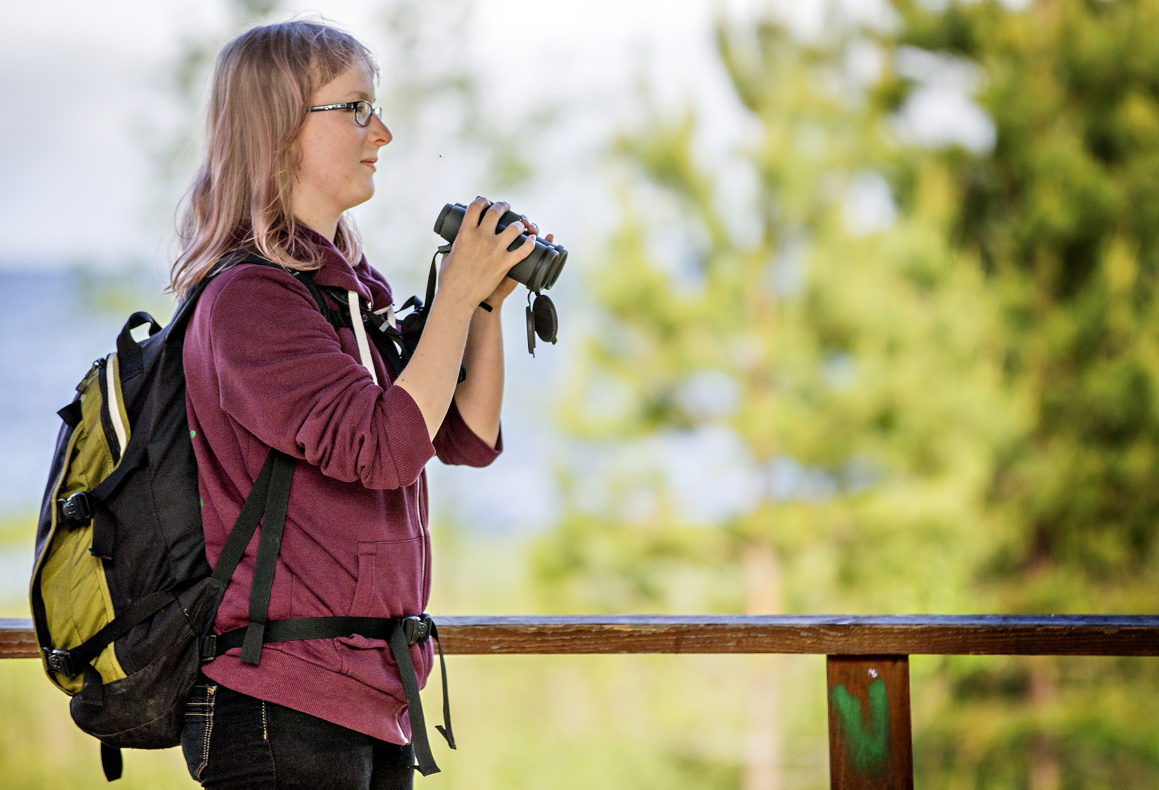 Biologi Aija Lehikoinen on intohimoinen lintubongari ja lintuharrastaja.