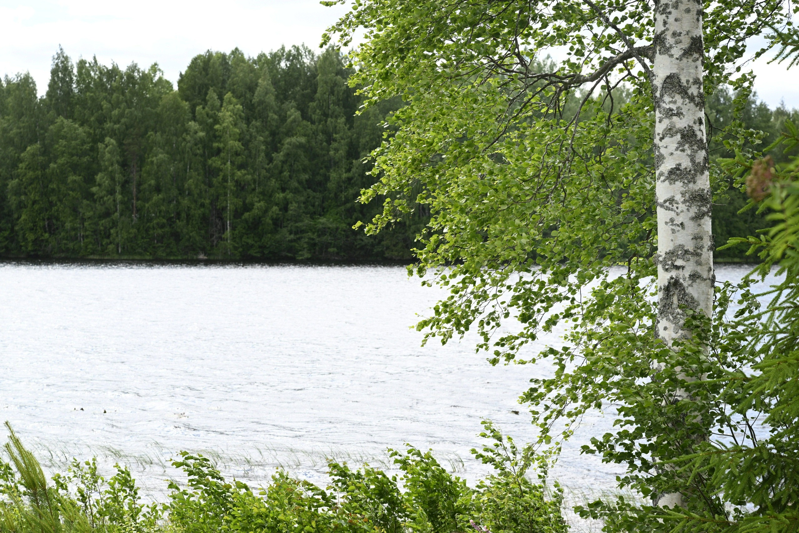 Etelä- ja Länsi-Suomessa vietetään juhannuspäivää lämpimässä säässä, muualla elohopea jää alle 20 asteeseen