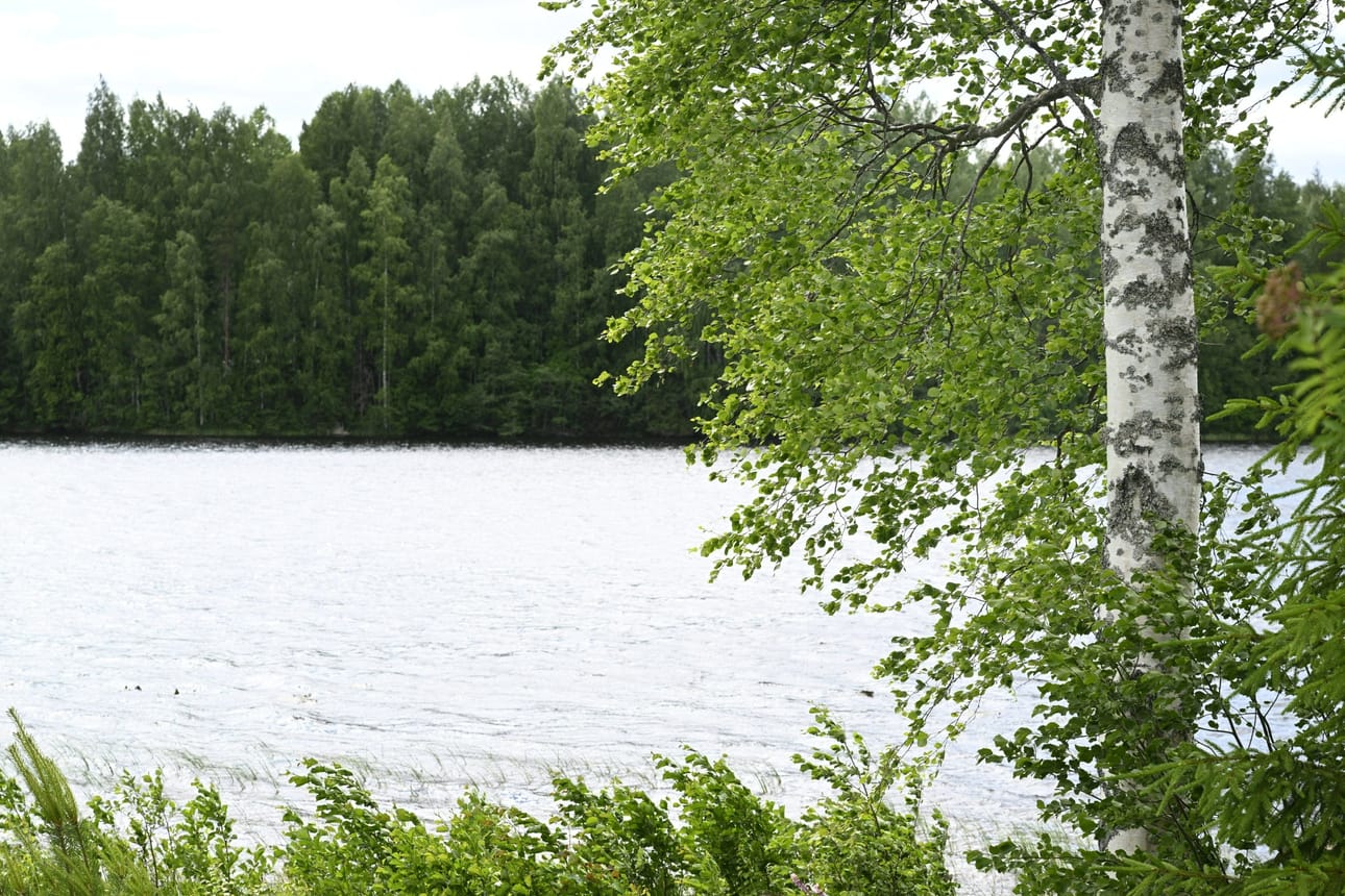 Tuuli heikkenee lauantaina maan etelä- ja keskiosassa. LEHTIKUVA / Heikki Saukkomaa