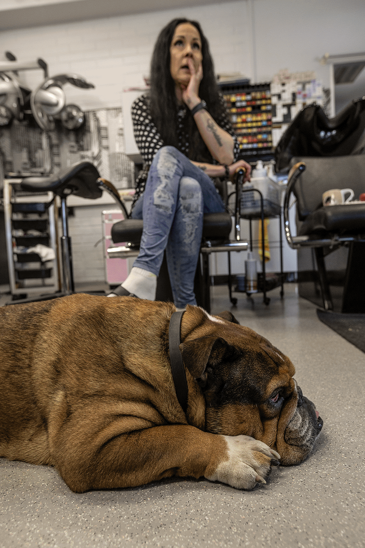 Pia Mathlin kertoo, että hänen koiransa lähestulkoon tappelevat aamuisin siitä, kuka pääsee hänen mukaansa töihin. Tällä kertaa onni suosi Vääkkyä.