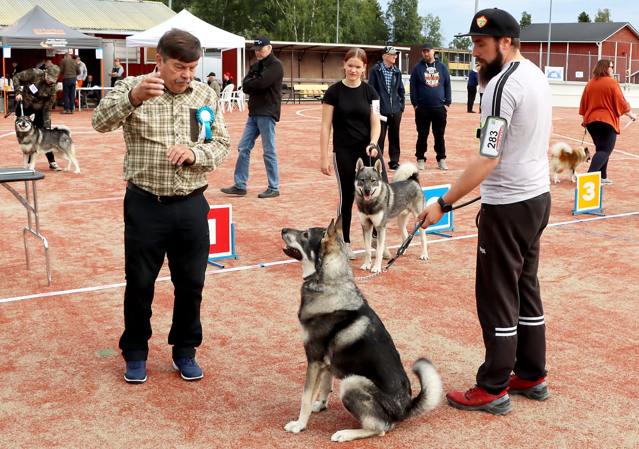 Tuomari Hannu Talvi antoi arvionsa Pasi Penttilän Karpo-koirasta. Arvostelua seurasi Noora Soinne.