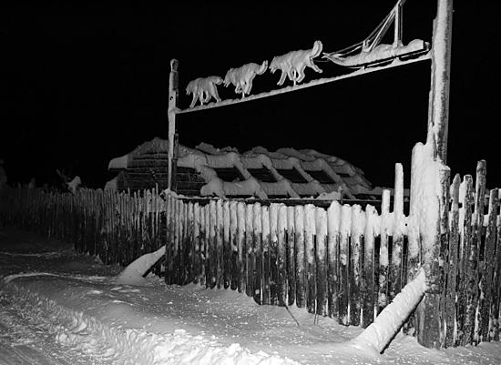 Vakava turma. Tornion Korpikylän turman koiravaljakkoryhmän suomalainen matkanjärjestäjä on  Matkakoskella toimiva kokenut safarimatkailuyrittäjä.    