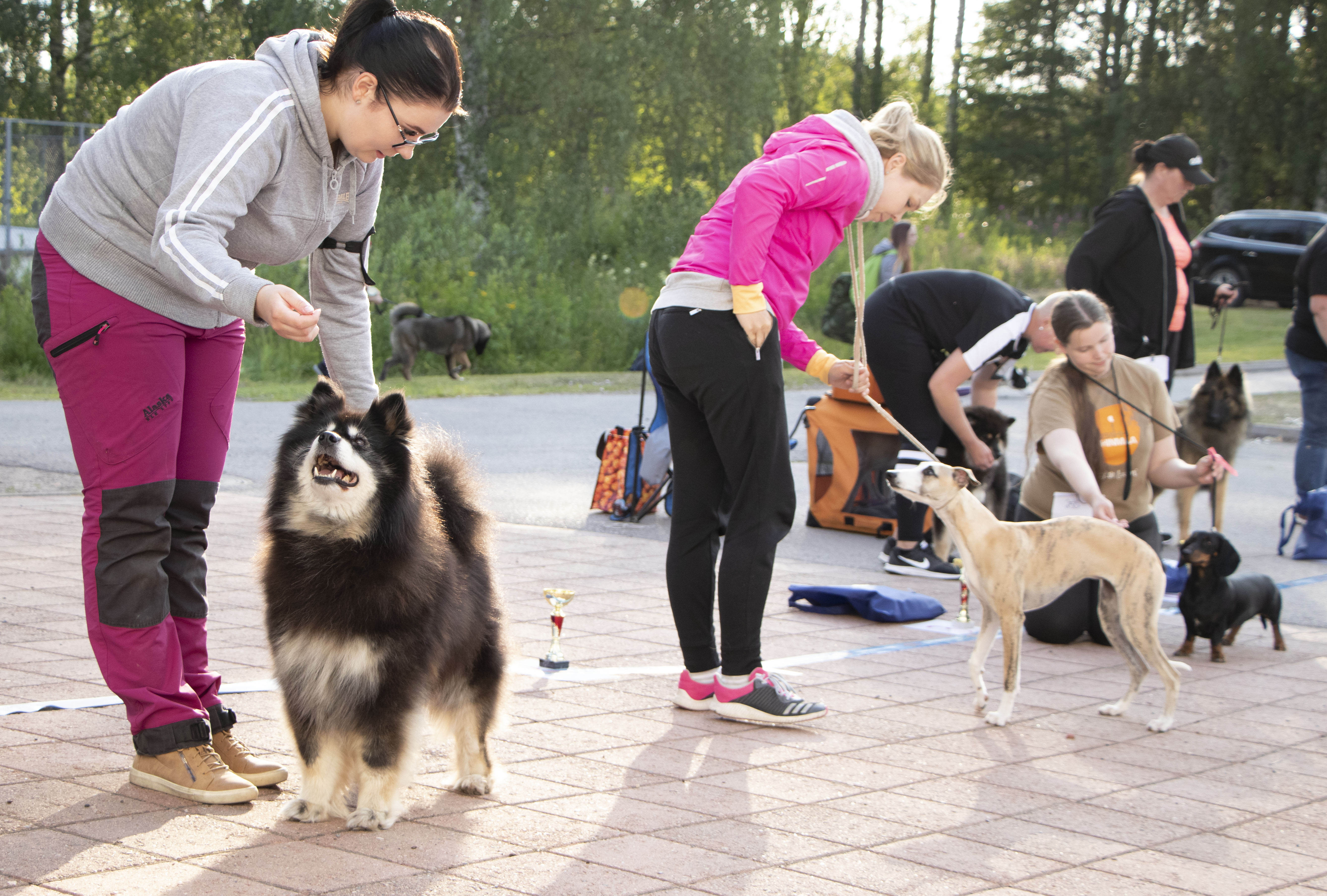 Best in Show-kehässä suomenlapinkoira Viivi  es. Sarita Kemi,  Namu,-whippet, es. Sanna Keränen ja Lyyti-mäyräkoira, es. Hanne Seppänen. Näyttelyn voiton vei Viivi, hopealle jäi Lyyti ja kehän kolmanneksi kauneimmaksi Namu.