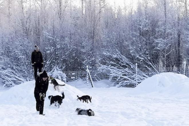 Pentutapaaminen koirapuistossa. KUVA: Tmi Mona Nappari.